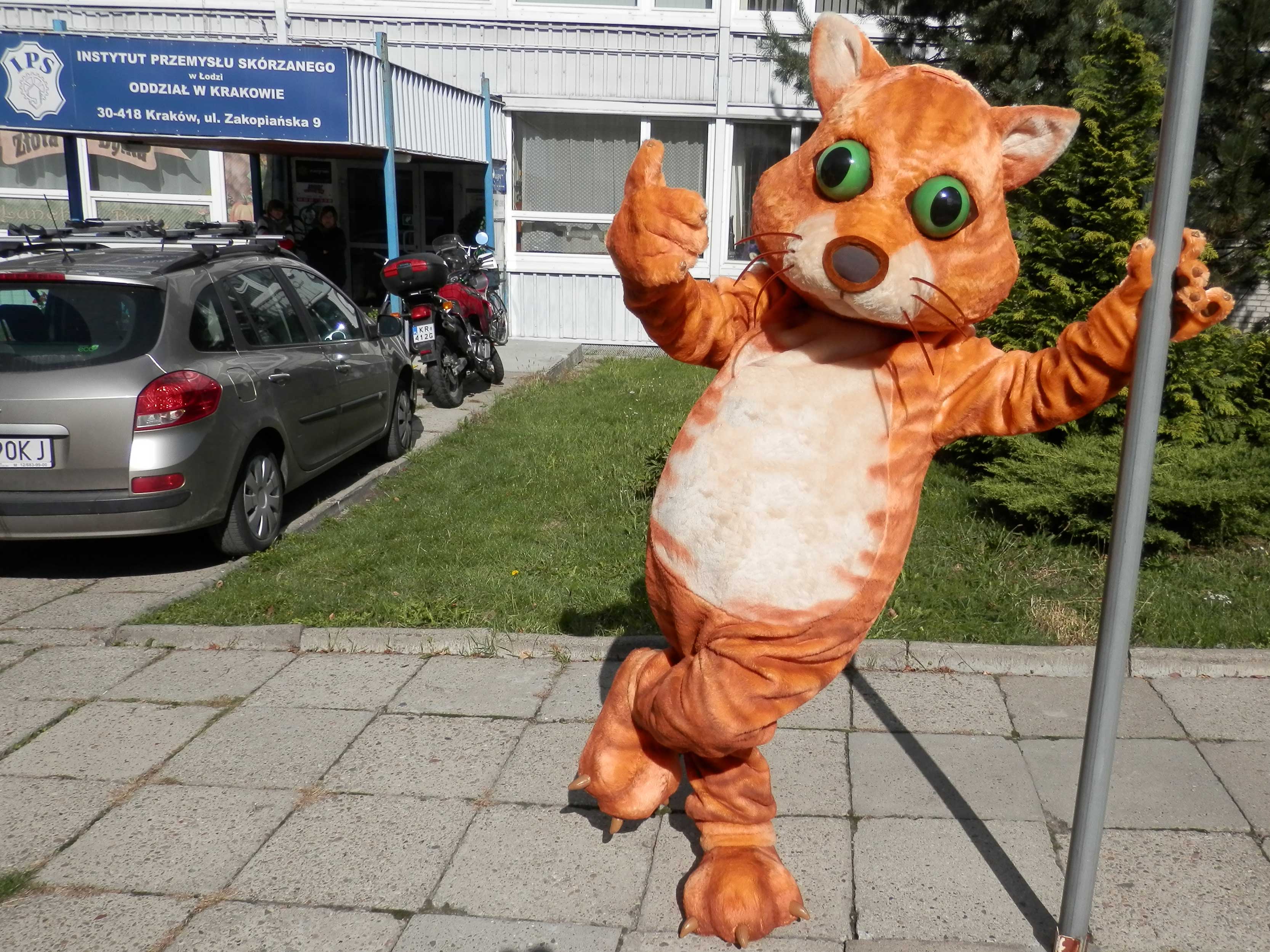 Nigdy nie rób tych 3 rzeczy, jeśli chcesz zamówić świetne stroje reklamowe, jak Kot